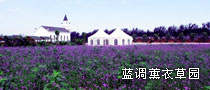 祥毅薰衣草园